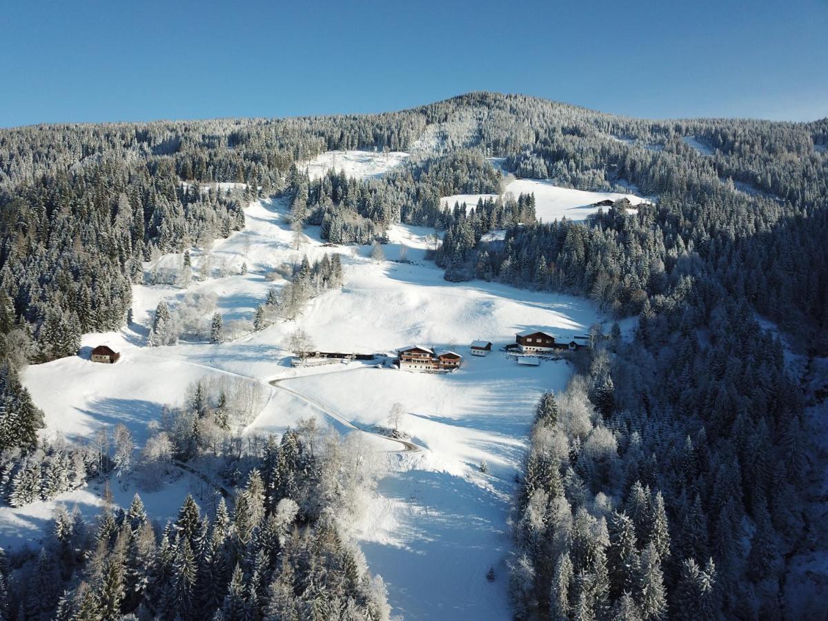 Pension Bergbauernhof Irxner Pichl-Preunegg Dış mekan fotoğraf